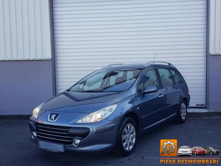 Airbaguri peugeot 307 2008