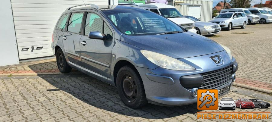 Amortizor capota peugeot 307 2008