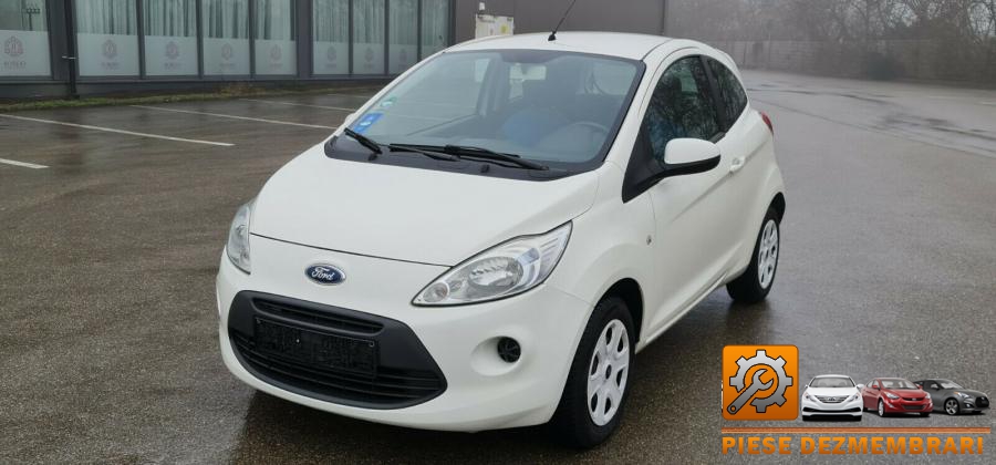 Amotizor ford ka 2009