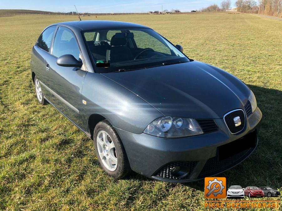 Arcuri seat ibiza 2005