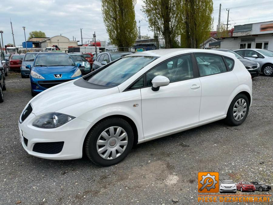 Arcuri seat leon 2011