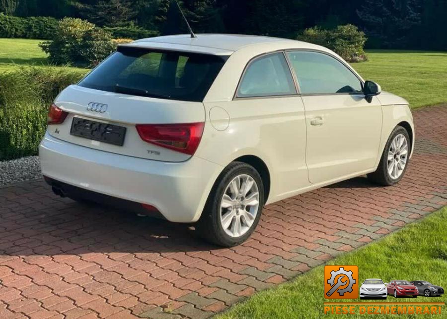 Axe cu came audi a1 2009