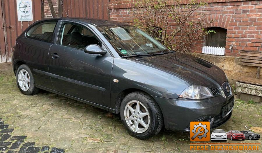 Baie ulei seat ibiza 2005