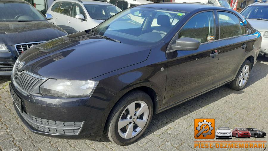 Bara spate skoda rapid 2015