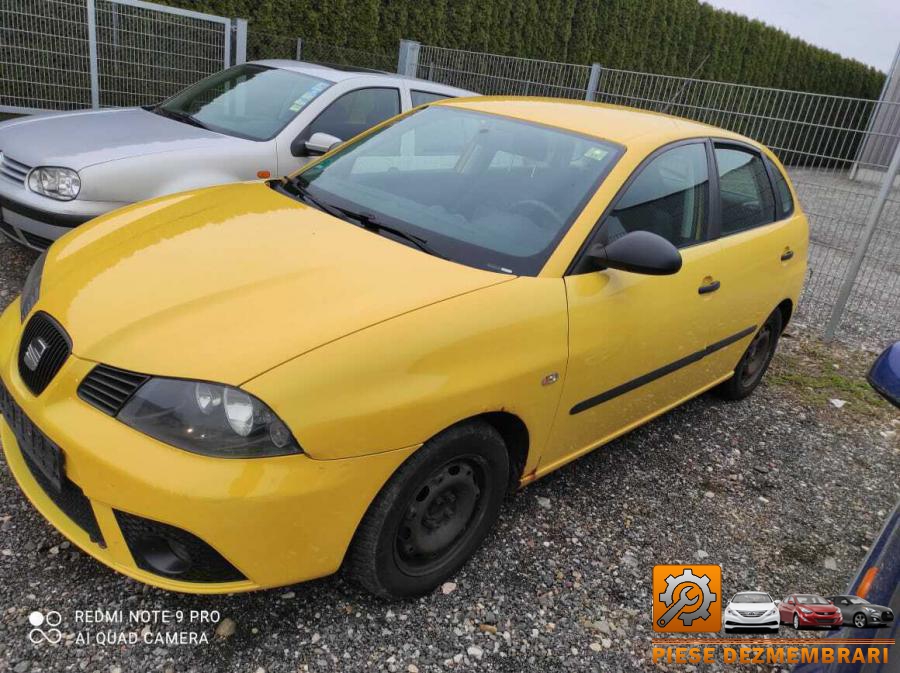 Centuri de siguranta seat ibiza 2005