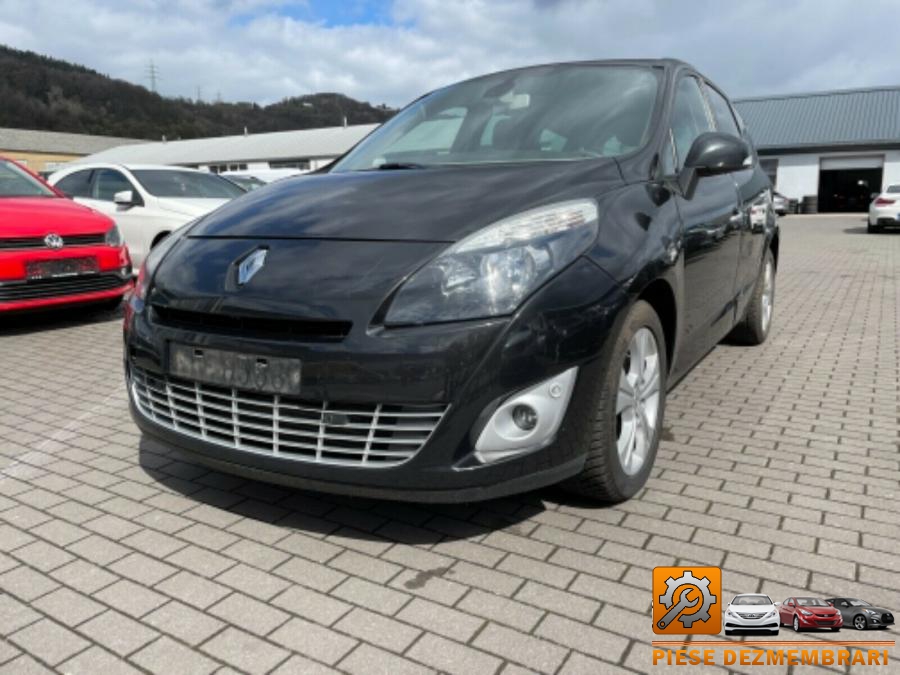 Chiuloasa renault scenic 2012