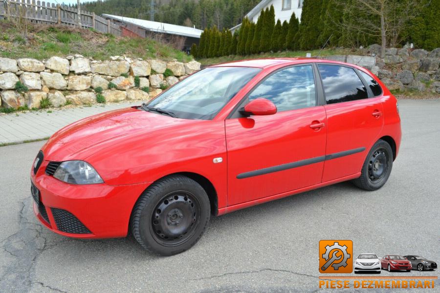 Chiuloasa seat ibiza 2005