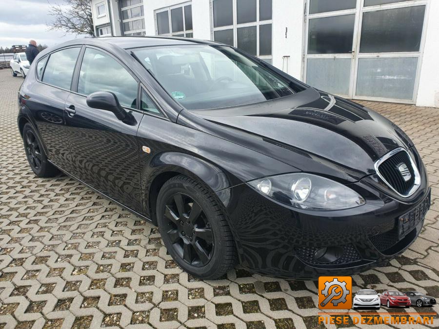 Luneta seat leon 2011