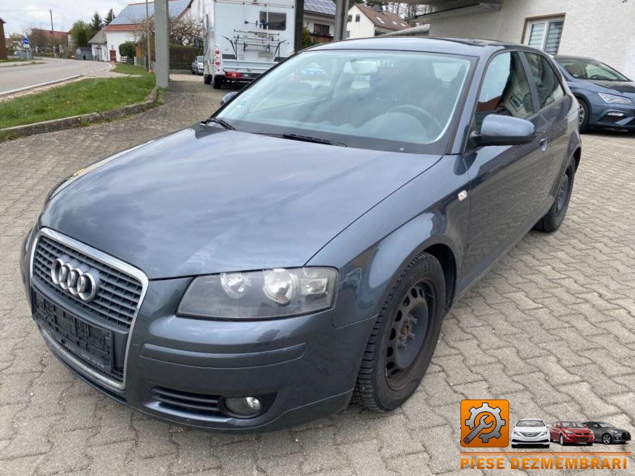 Punte spate audi a3 2004