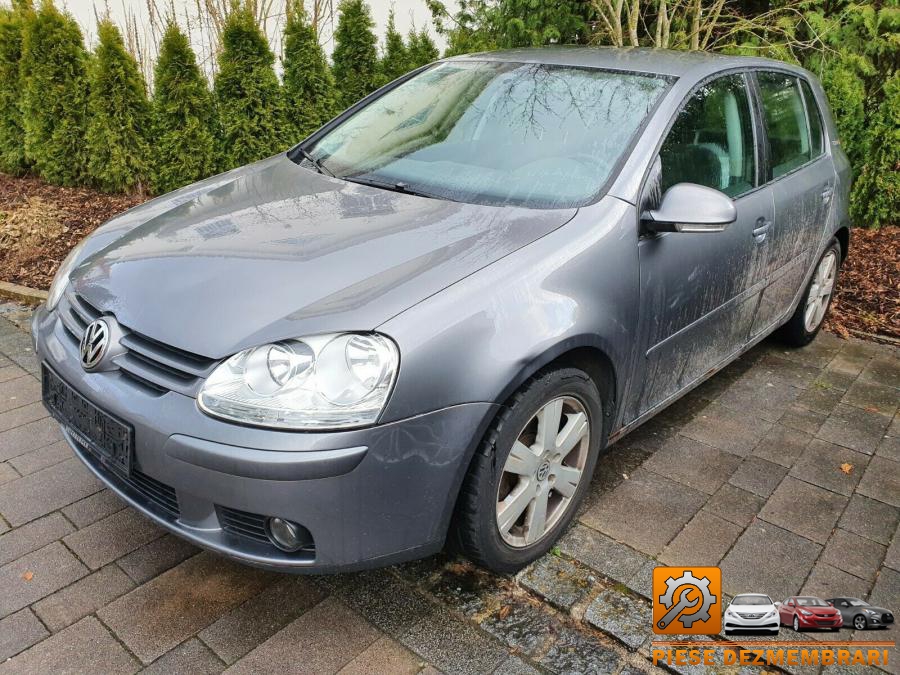 Punte spate volkswagen golf 2008