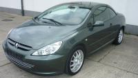 Arcuri peugeot 307 2008